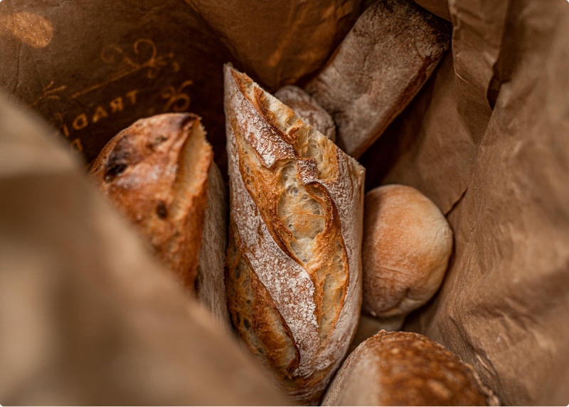 Coherence Site Rectangle 1133