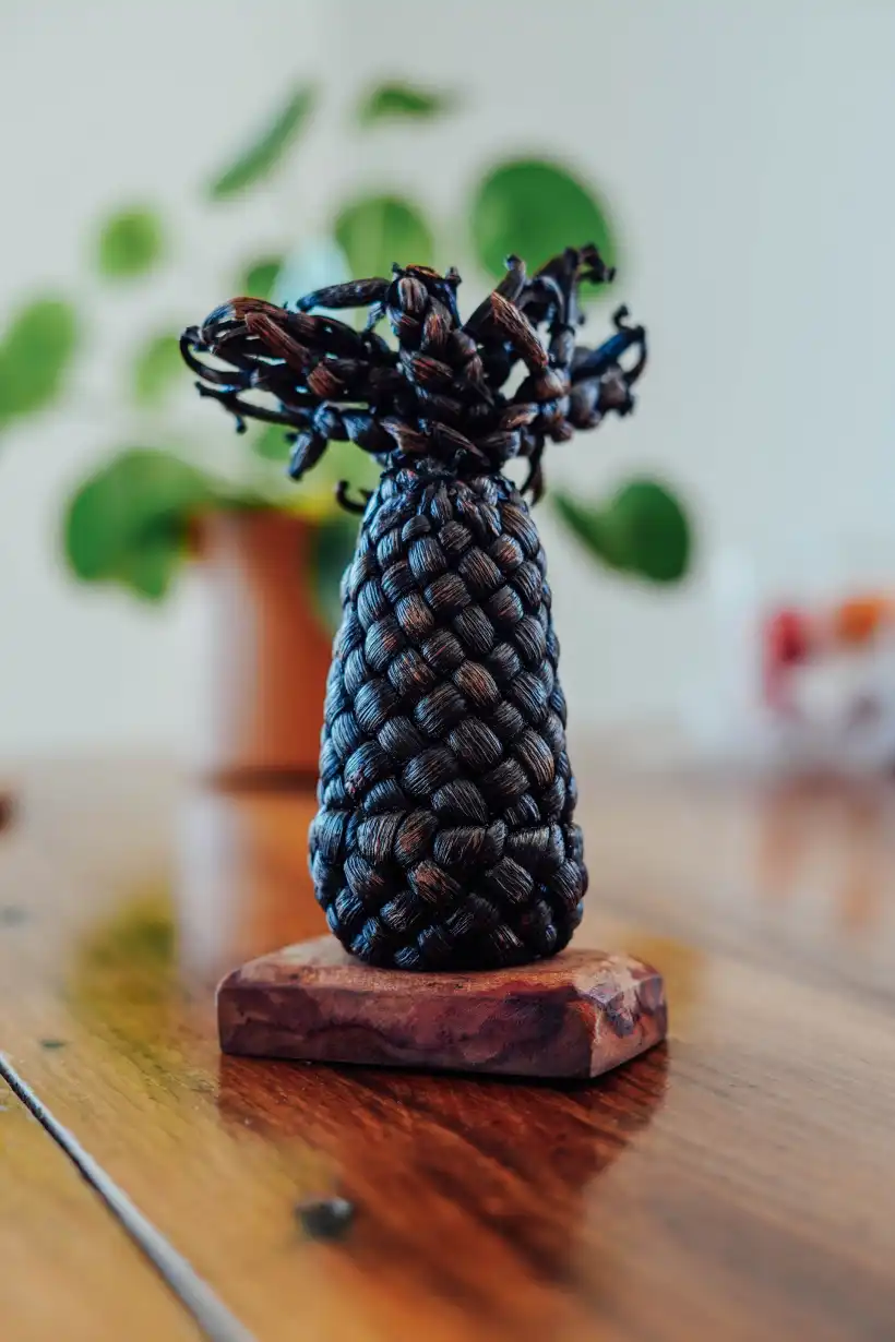 Madepices 67 Epices De Madagascar Rountzenheim Galerie 7